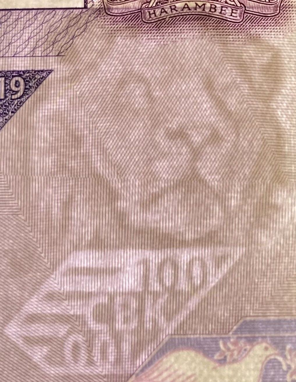 Kenya P-53a 100 Shillings 2019 UNC—Purple—Agro-Panorama—Leopard—Camels