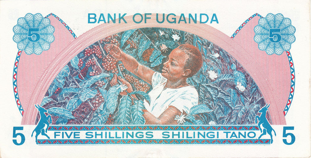 Uganda P-10 5 Shillings ND (1979) UNC—Bank of Uganda—Coffee Harvest