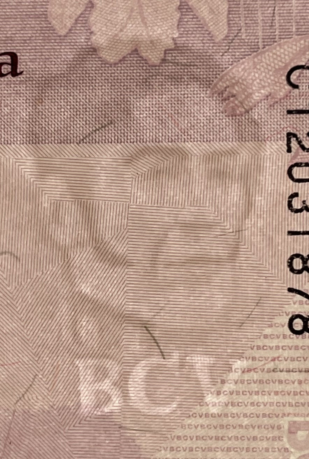 | 100 pcs lot bundle UNC—100x Venezuela P119 100 Bolivares Digitales 2021