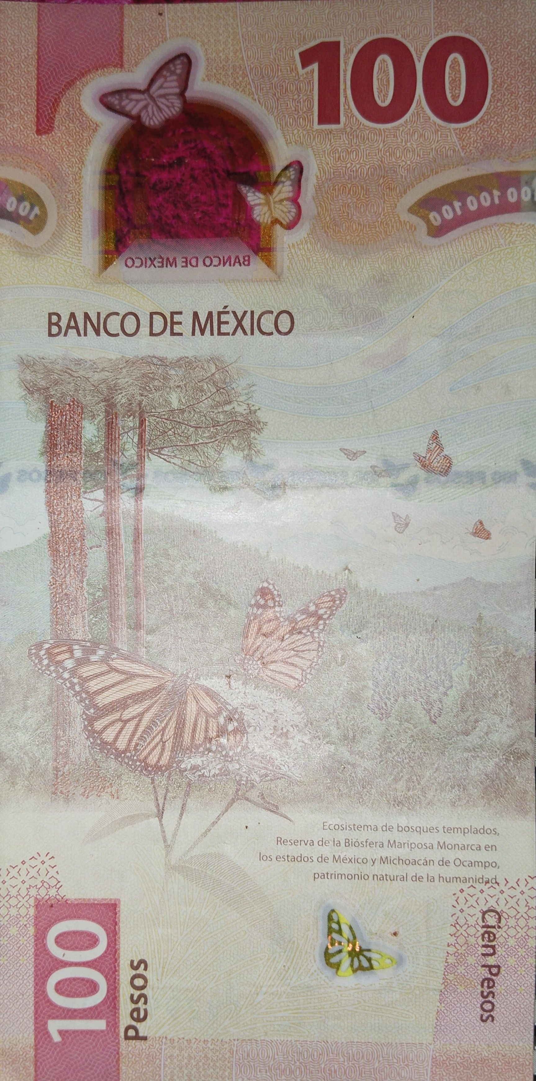 Mexico P139—2025 Commemorative of P134—100 Pesos 2024.06.27 UNC B724 W139 JEHC/IMP Butterflies