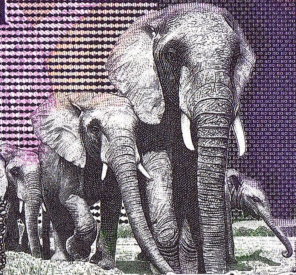 Elephant Banknote, Rich Purple Color, from South Sudan in Africa!