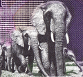 Elephant Banknote, Rich Purple Color, from South Sudan in Africa!