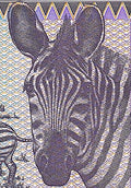 Rwanda P-19 100 Francs 1989 UNC—Purple Zebra Edition!