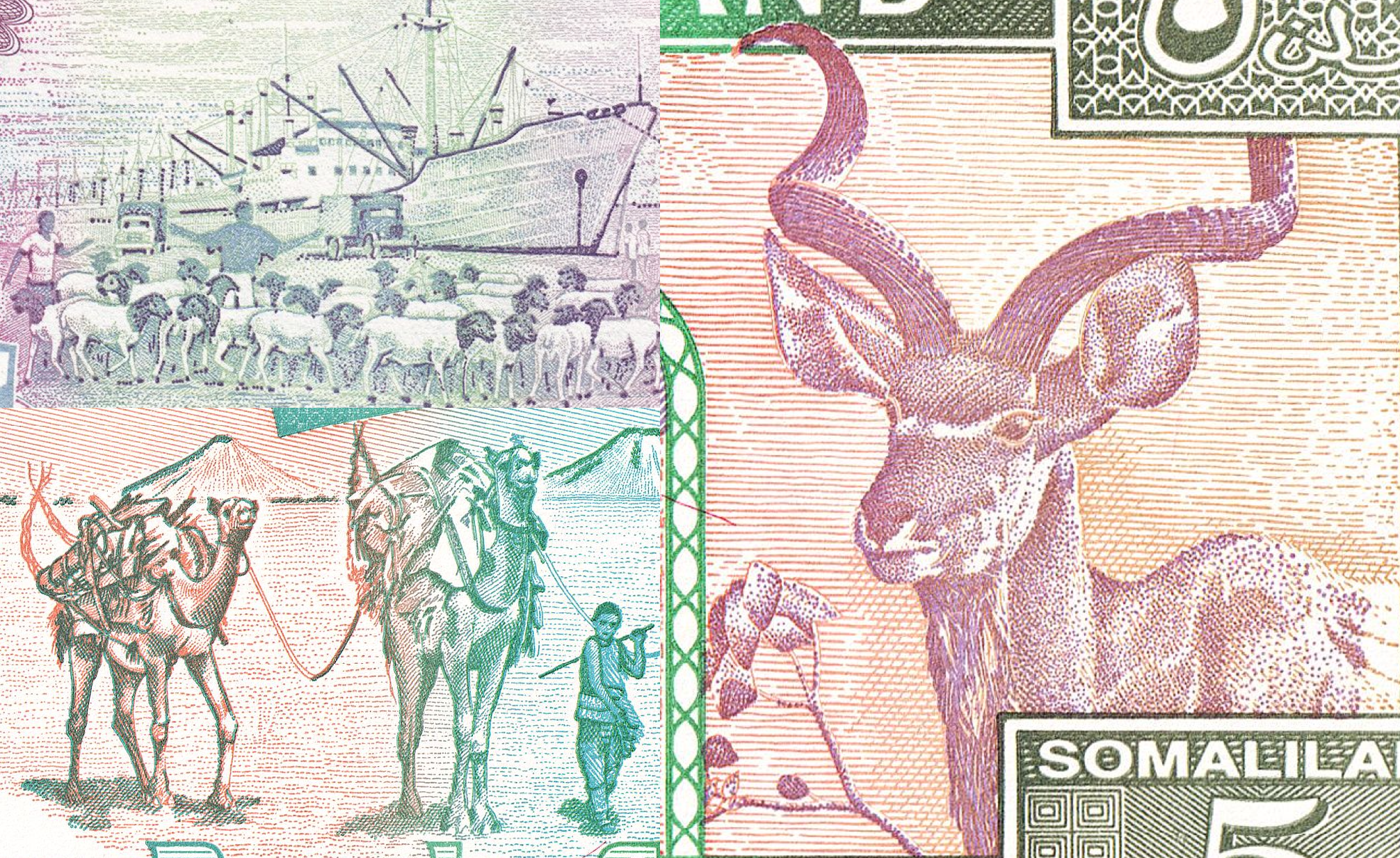 Somaliland P-1 P-20 2 pc set 5 & 1000 shillings UNC