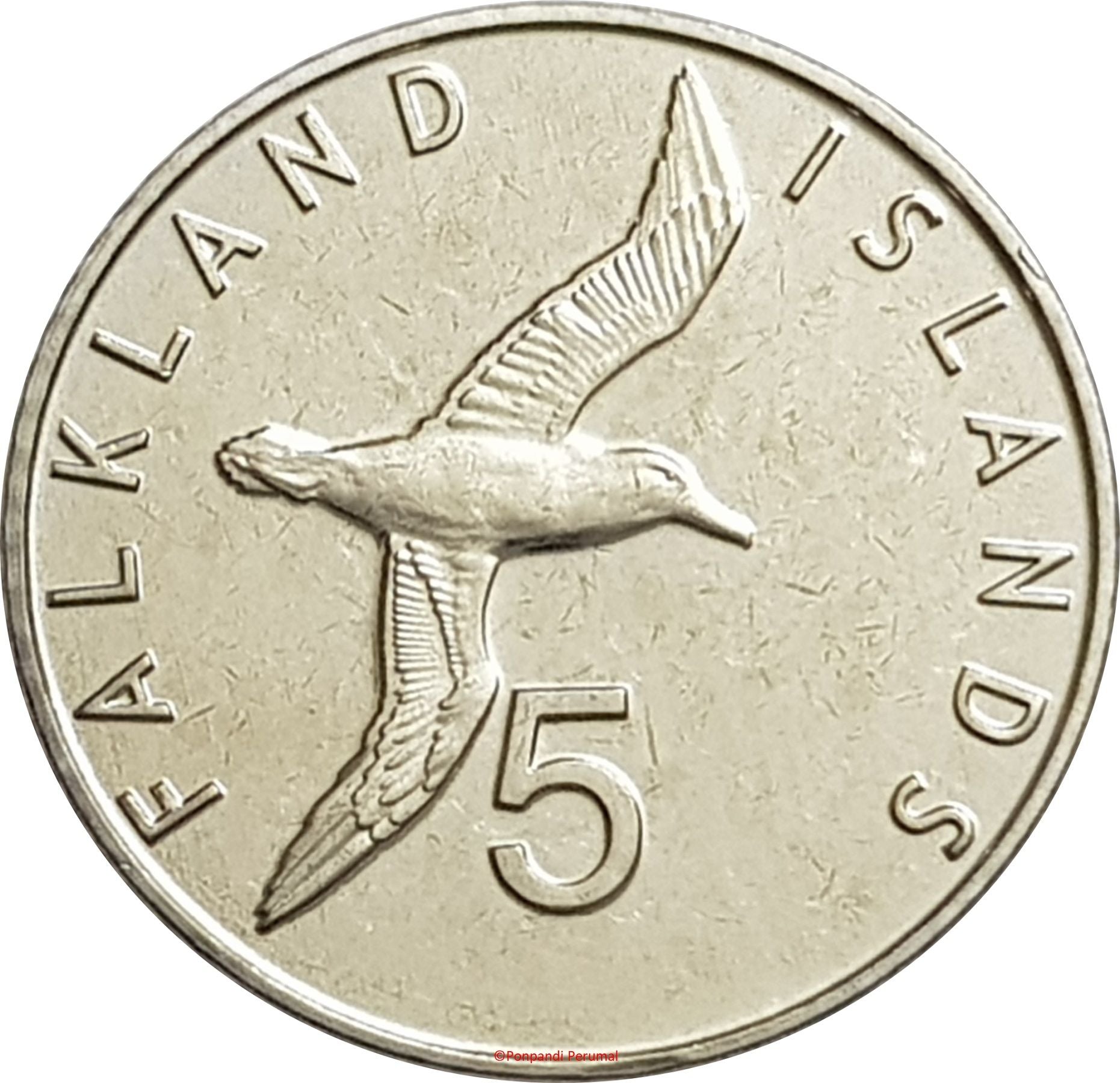 Falkland Islands KM#201 5 Pence 2019 UNC—Elizabeth II—Black-browed Albatross