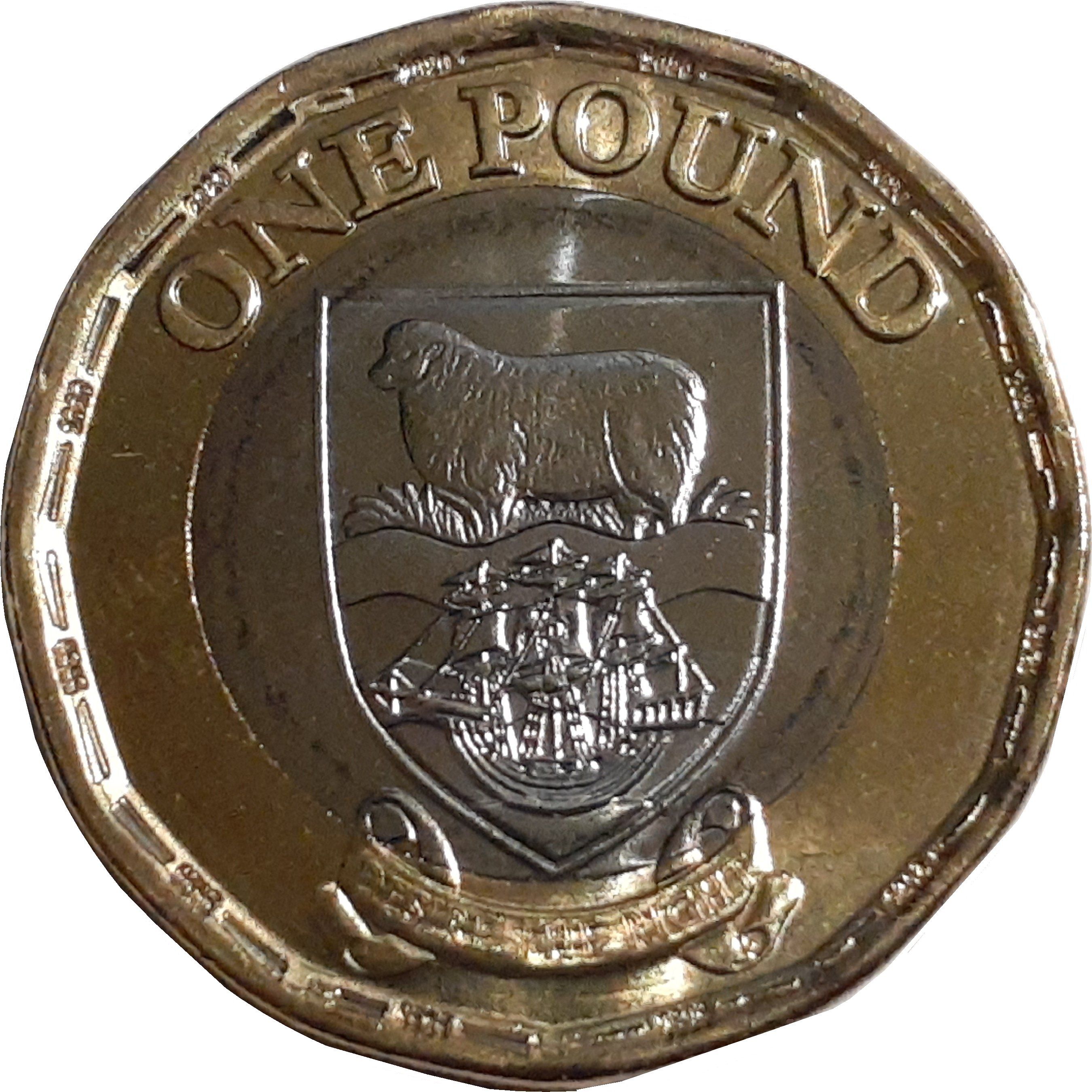 Falkland Islands KM#204 1 Pound 2020 XF—Elizabeth II—Coat of Arms