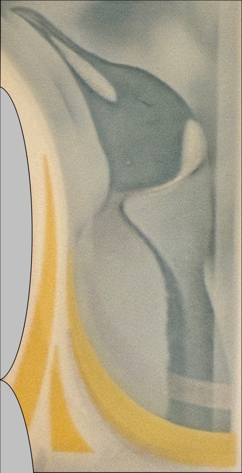 Falkland Islands P-22 10 pounds 2025 UNC｜Polymer｜King Charles III｜Penguin