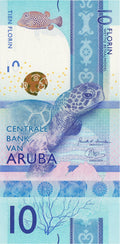 Aruba P-21 10 Florin 2019 UNC—White Turtle—Ruins—Owl