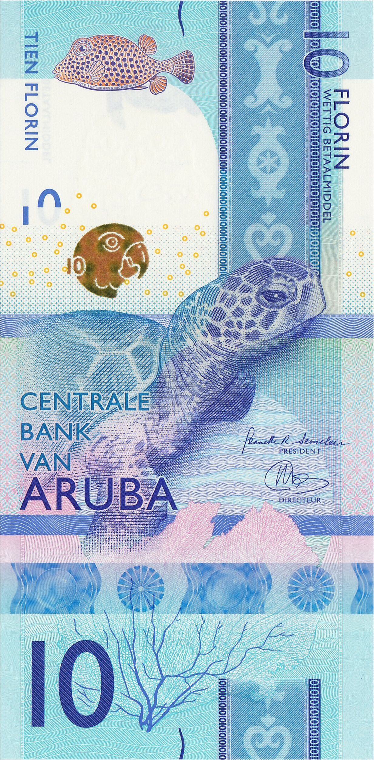 Aruba P-21 10 Florin 2019 UNC—White Turtle—Ruins—Owl