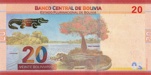 Bolivia P249(1) B418a 20 Bolivianos 2019-25 UNC—Cayman—Alligator Family—60021