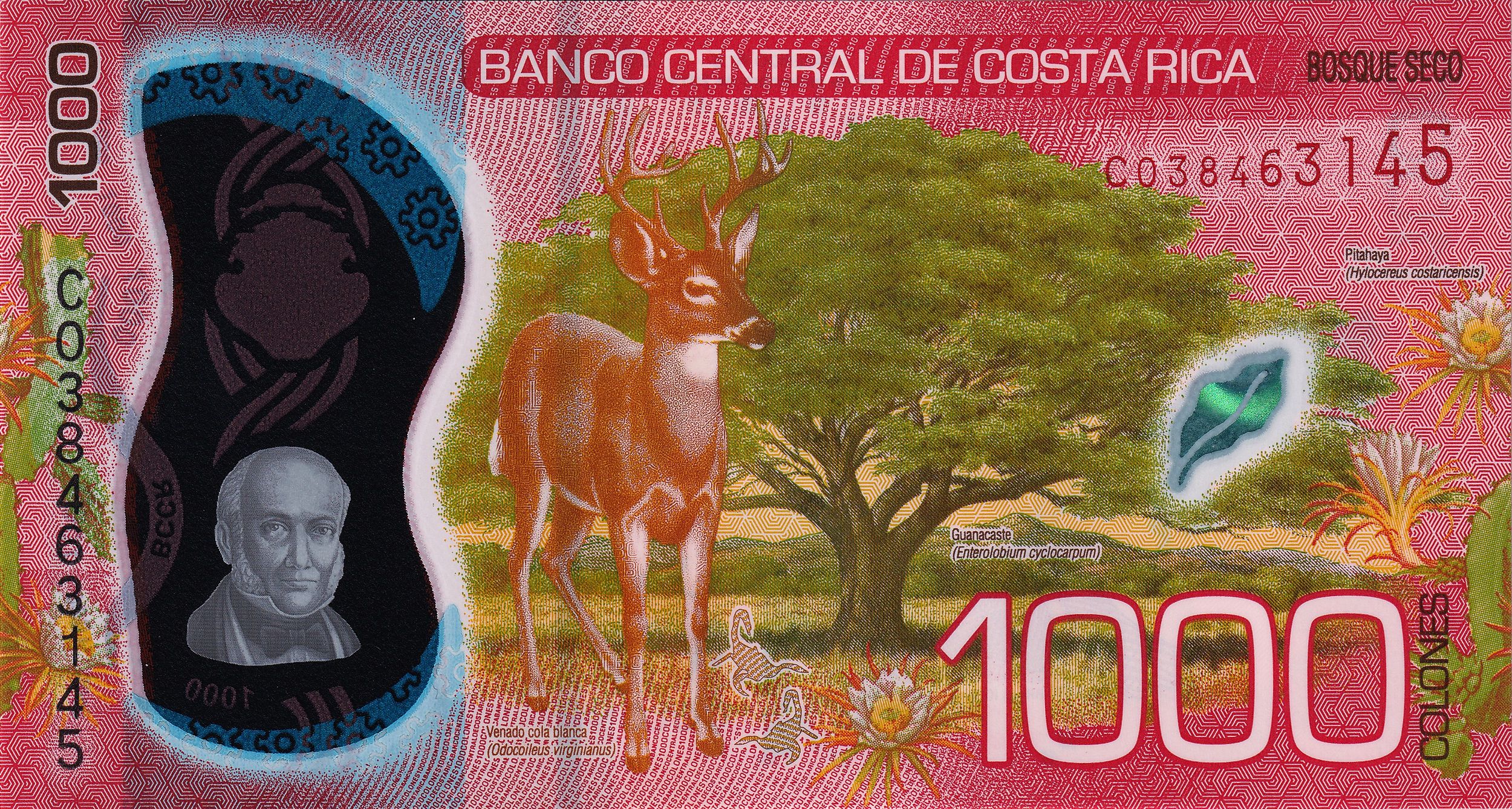 Costa Rica P280 POLYMER 1000 Colones 2019 UNC—Braulio Carrillo—Dry Forest 60629