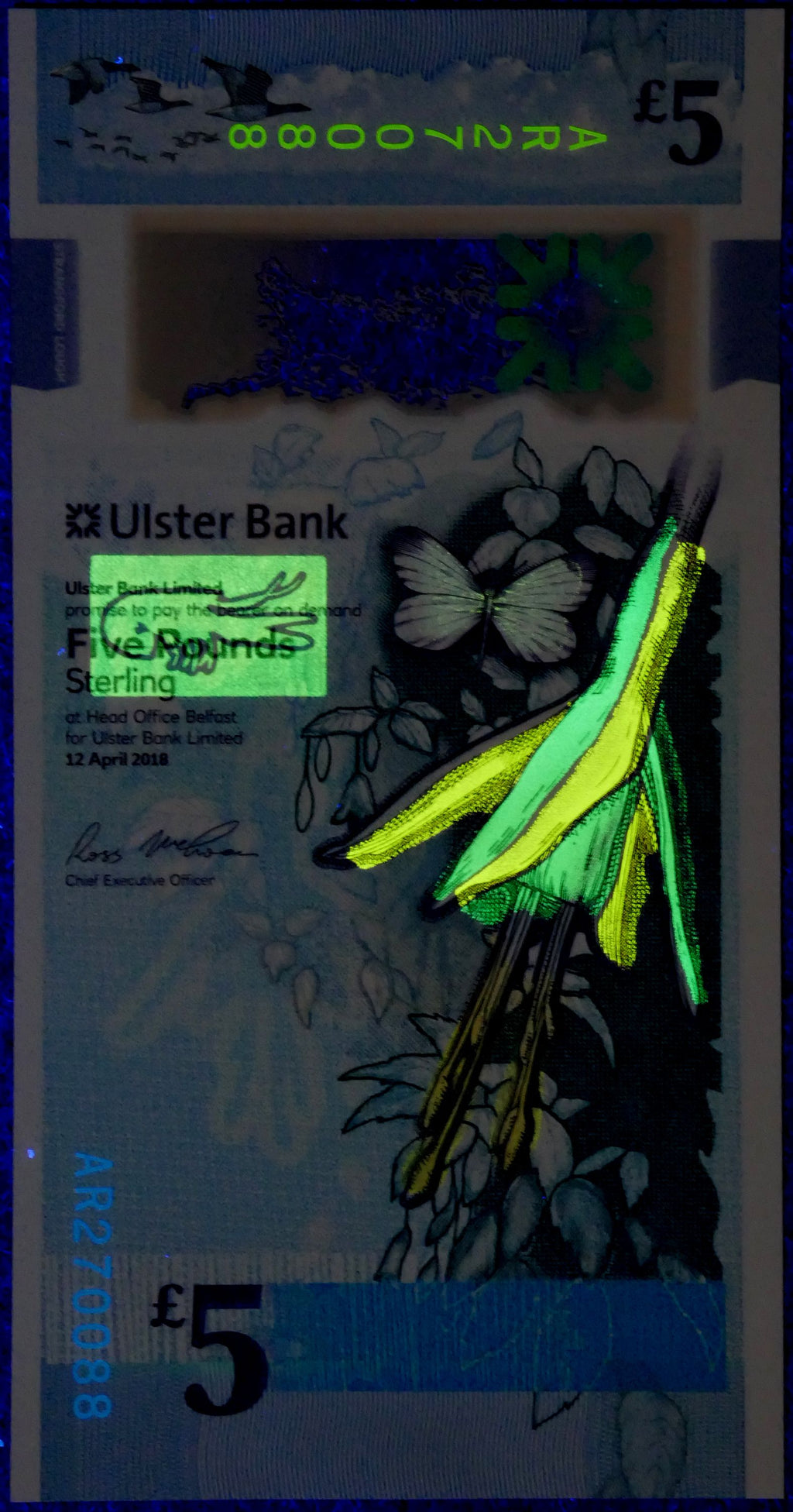 Northern Ireland (UK) Ulster Bank P343a 5 Pounds Sterling 2018 Polymer VF+ light folds