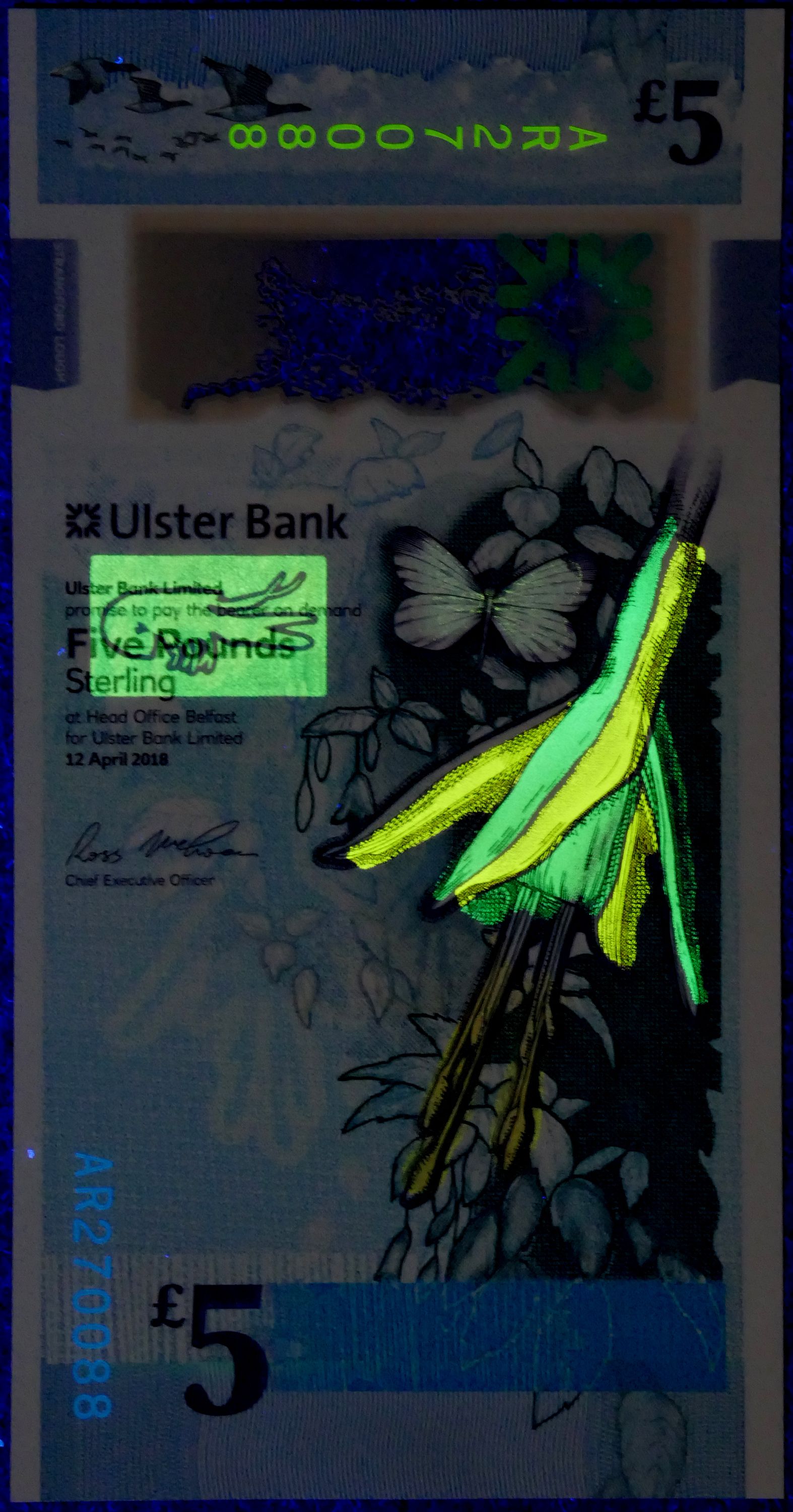 Northern Ireland (UK) Ulster Bank P343a 5 Pounds Sterling 2018 Polymer VF+ light folds