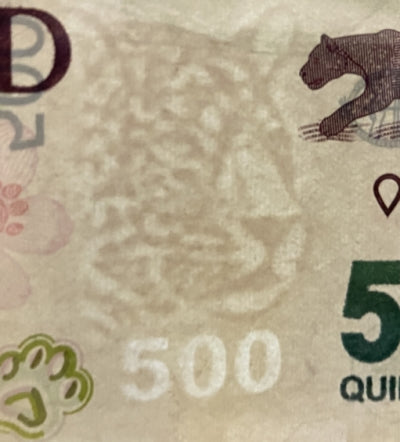 Argentina P365a2 Series O 500 Pesos 2019-2020 UNC—Jaguar—Jungle
