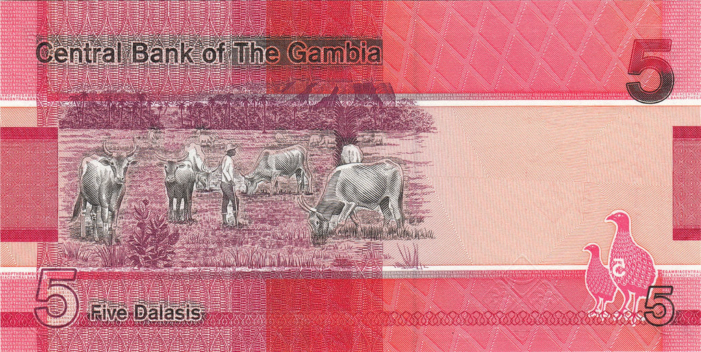 Gambia P-37a 5 Dalasi 2019 UNC—Kingfisher Bird—Nile Crocodile