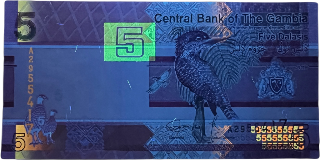 Gambia P-37a 5 Dalasi 2019 UNC—Kingfisher Bird—Nile Crocodile