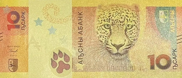 Abkhazia P-7 10 Apsar 2024 ｜Russian-occupied part of Georgia; Leopard