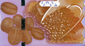 Rwanda P-44 2000 francs 2024 UNC—Your Coffee Is Ready, Sir!