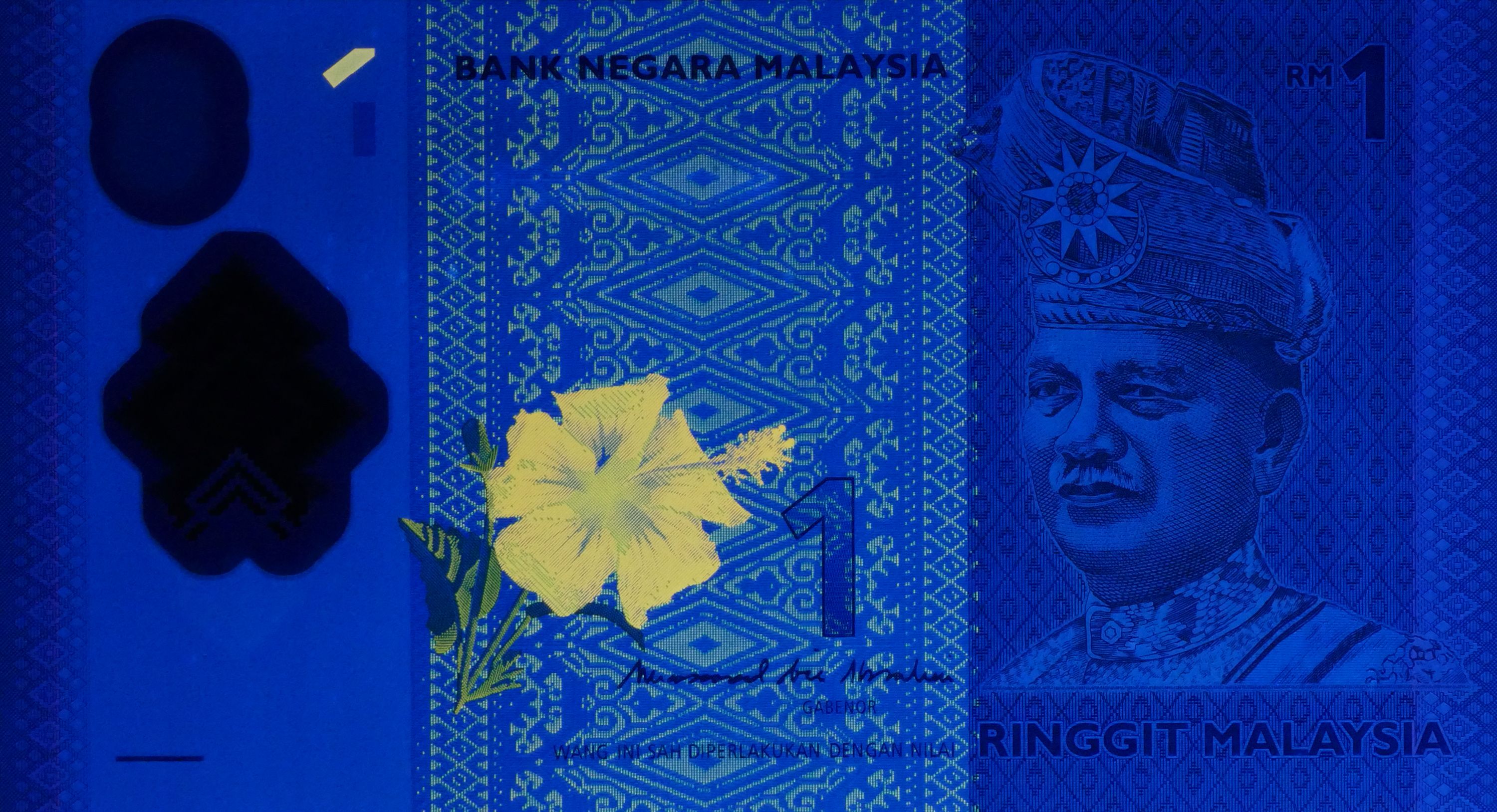 Malaysia P-51 1 Ringgit 2021 UNC—Polymer—1st “King”—Kite—Hibiscus