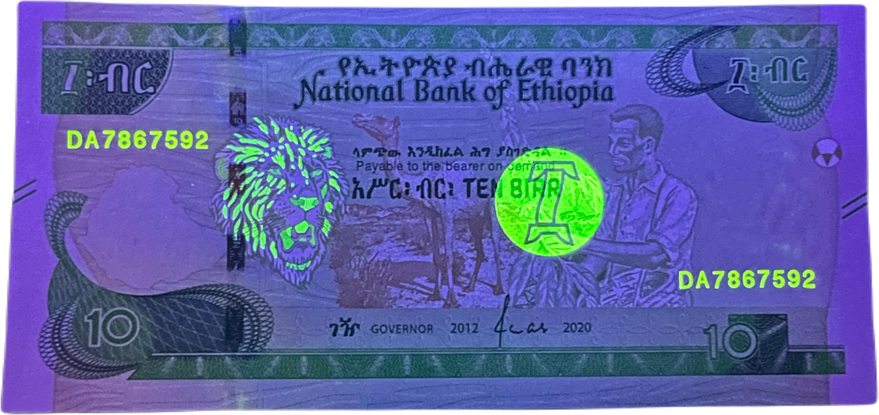 Ethiopia P-53a 10 Birr 2020 UNC—Coffee—Camel—Lion