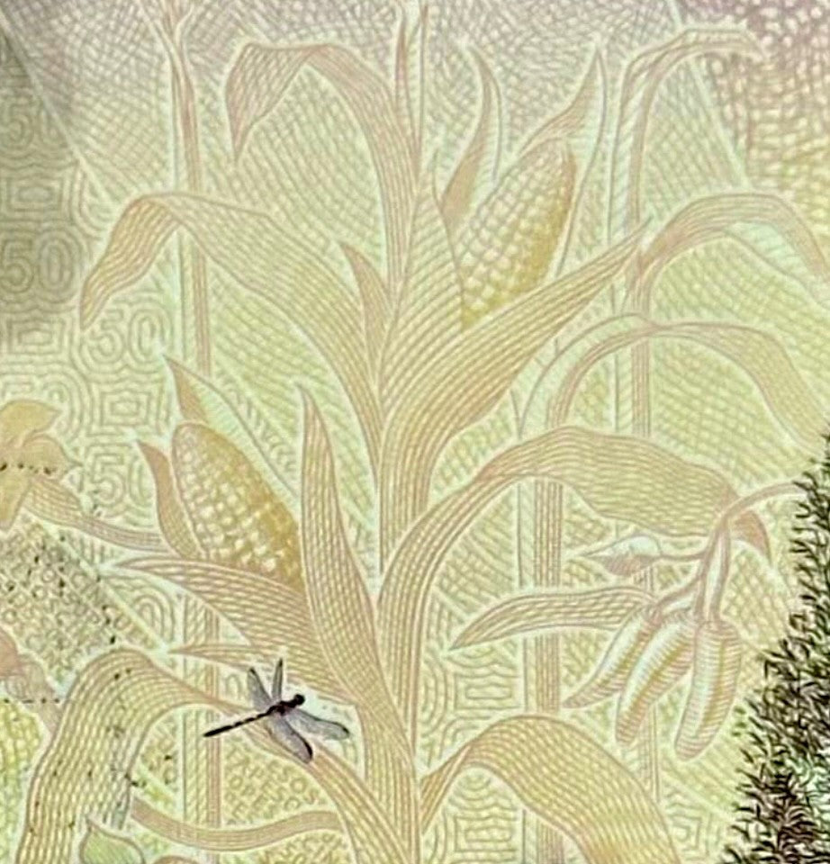 AXOLOTL AJOLOTE Mexico 50 Pesos — commemorative — UNC P133 W138 2024 “fish”13