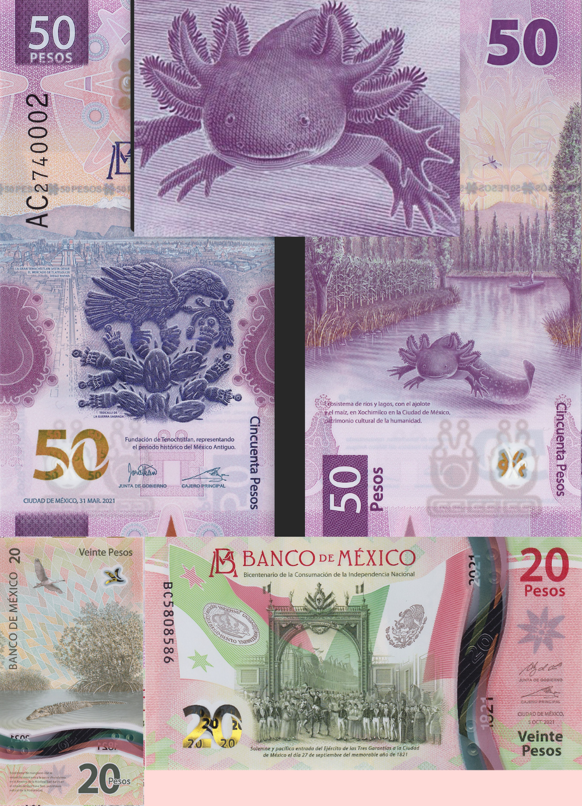 Mexico AXOLOTL / AJOLOTE & BICENTENNIAL SET 20 pesos 50 pesos UNC P-132 P-1330