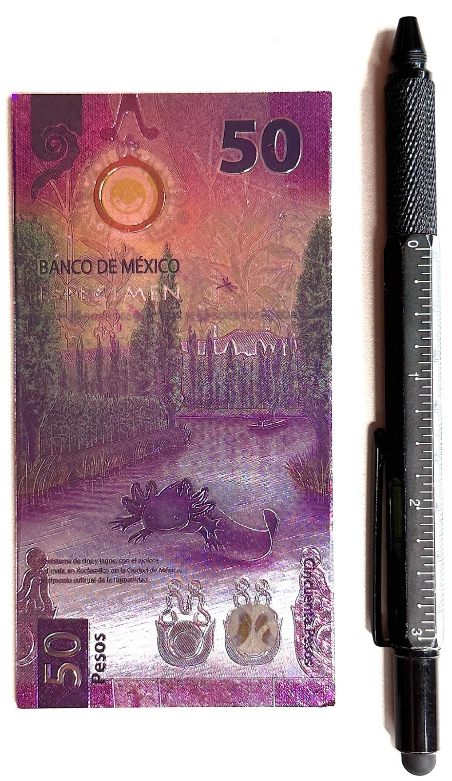 Mexico ajolote axolotl refrigerator magnet - iman billete 50 pesos, NOT CURRENCY1