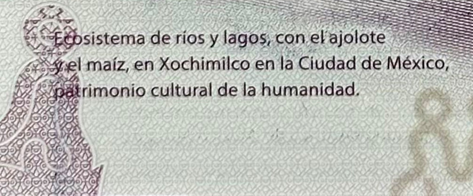 AXOLOTL AJOLOTE Mexico 50 Pesos — commemorative — UNC P133 W138 2024 “fish”15