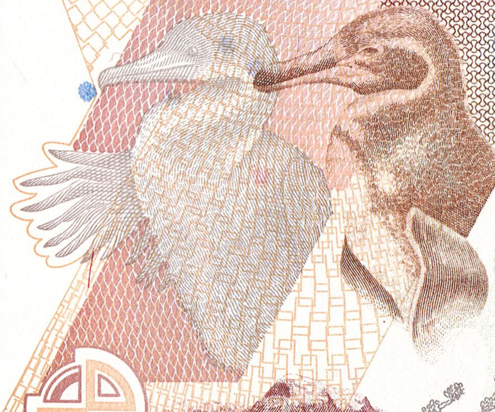 USA BUYERS: NO TARIFFS TO PAY! [Ecuador GALAPAGOS] 5000 Sucres 1999 P-128c UNC1