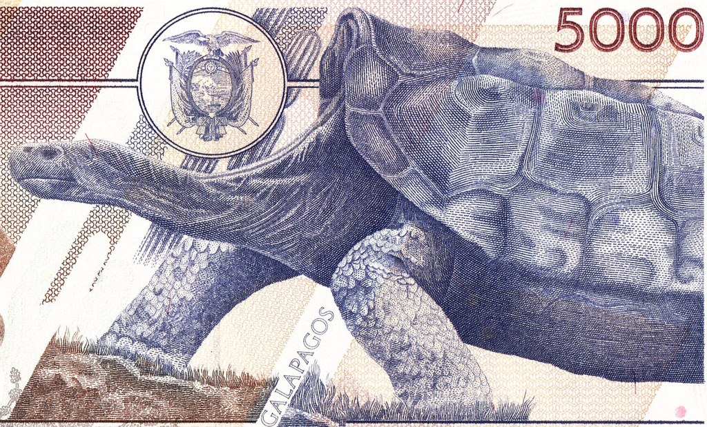 USA BUYERS: NO TARIFFS TO PAY! [Ecuador GALAPAGOS] 5000 Sucres 1999 P-128c UNC0