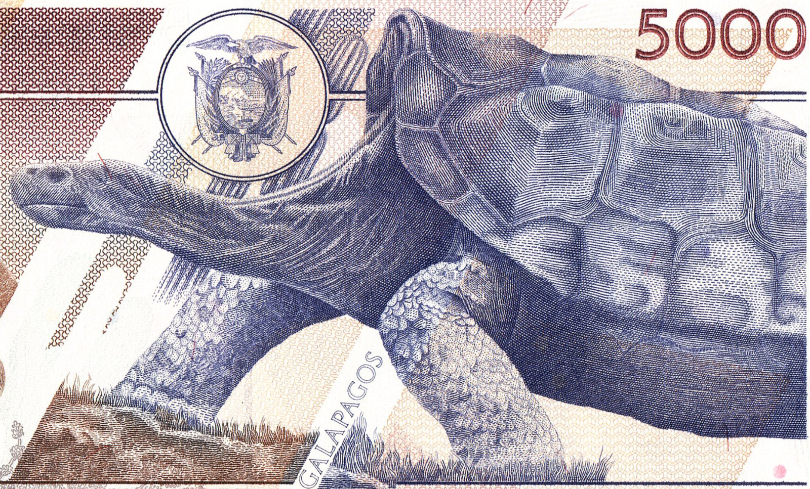 USA BUYERS: NO TARIFFS TO PAY! [Ecuador GALAPAGOS] 5000 Sucres 1999 P-128c UNC0