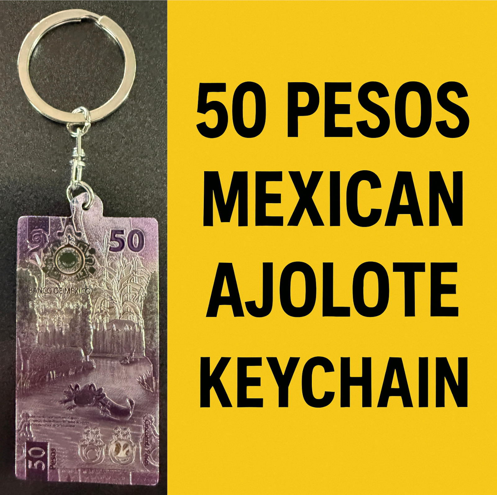 CLEARANCE Mexico keychain ajolote axolotl (50 pesos P-133 design) P20P0