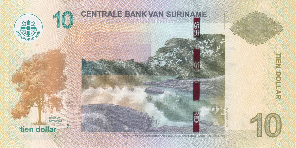 Suriname 10 dollars 2019 P-163 P-163c UNC B0814