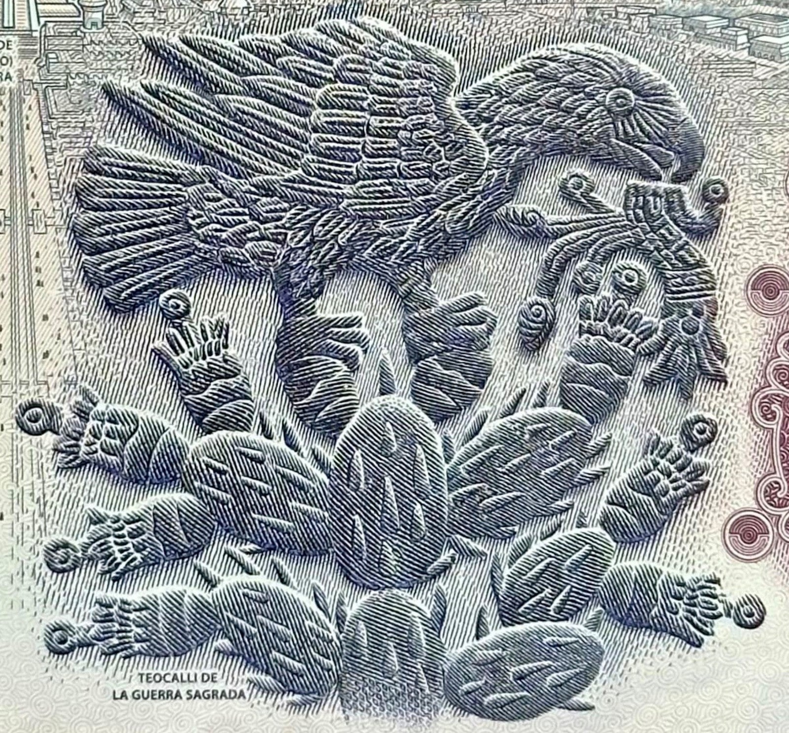 AXOLOTL AJOLOTE Mexico 50 Pesos — commemorative — UNC P133 W138 2024 “fish”5