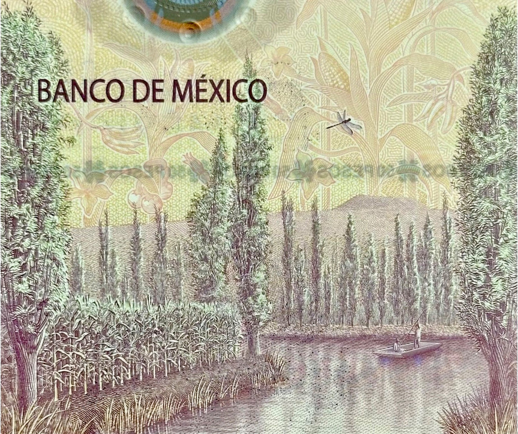 AXOLOTL AJOLOTE Mexico 50 Pesos — commemorative — UNC P133 W138 2024 “fish”6