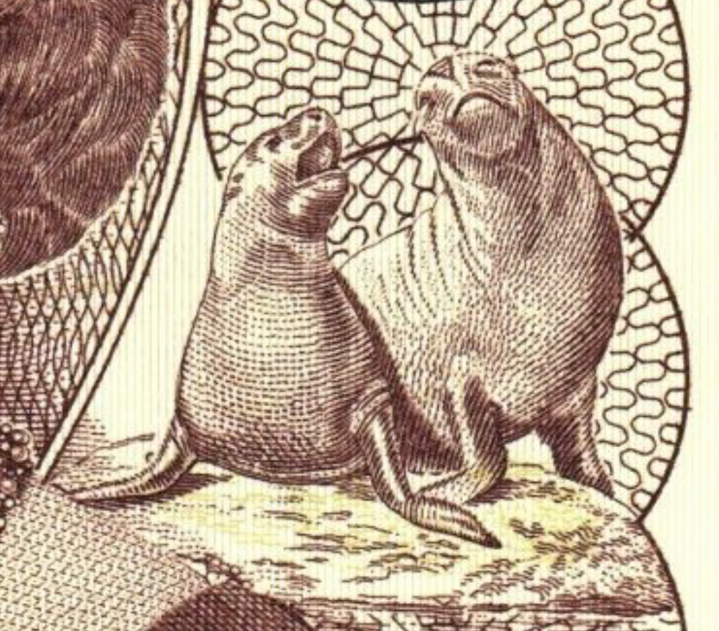 Falkland Islands 20 pounds P-19 2011 UNC/pinholes Queen Elizabeth II Penguin UK4