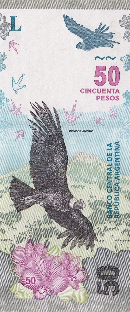 CONDOR Argentina 50 pesos P-363 P-363a2 series B ND 2018-2020 UNC 722000