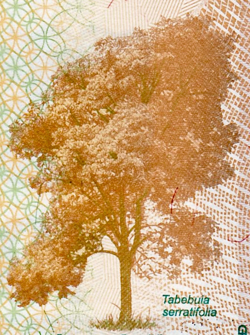 Suriname Set 5 Dollars P-162 2020 10 Dollars P-163c 2019 UNC B081 E718X5