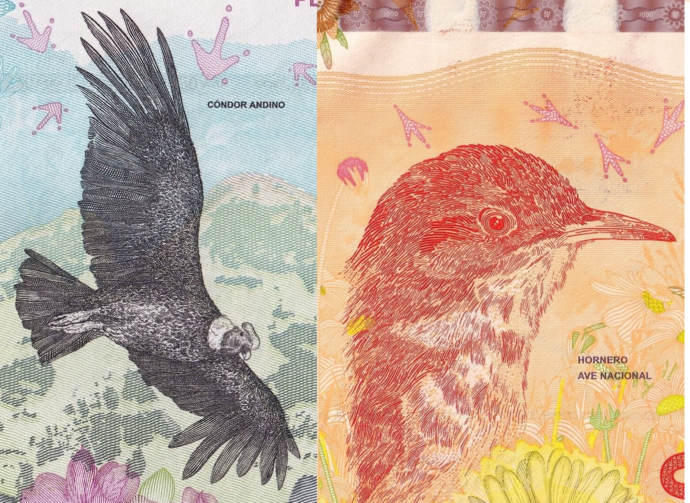 BIRD SET 2pc Argentina 1000 pesos P-363 P-366 2017-22 UNC Andes Condor Mountain0