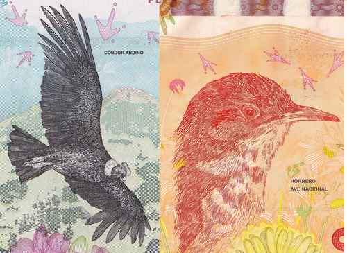 BIRD SET 2pc Argentina 1000 pesos P-363 P-366 2017-22 UNC Andes Condor Mountain0