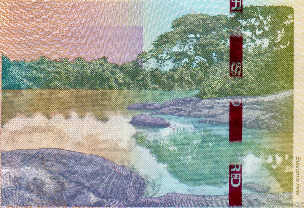 Suriname Set 5 Dollars P-162 2020 10 Dollars P-163c 2019 UNC B081 E718X3