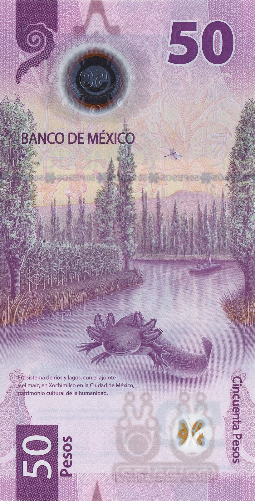 Mexico 2024 commemorative full set 50 100 200 500 1000 pesos UNC +bonus 20p 20236