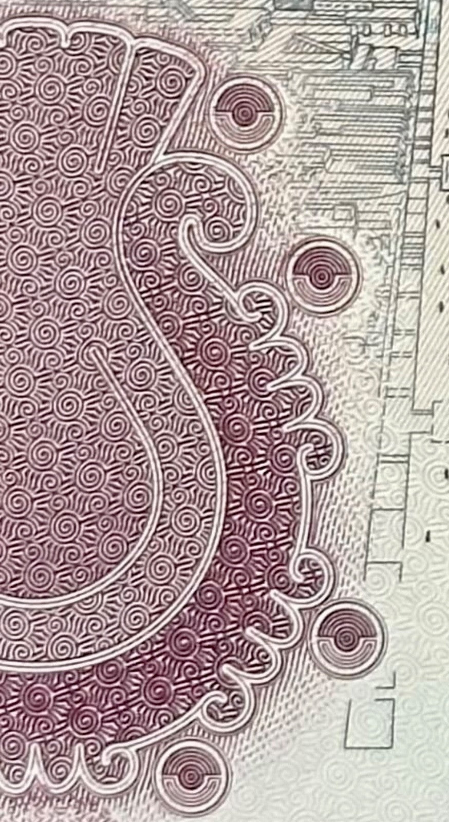 AXOLOTL AJOLOTE Mexico 50 Pesos — commemorative — UNC P133 W138 2024 “fish”10