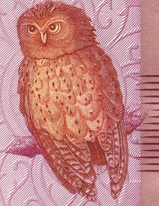 Sri Lanka 20 rupees 2021 P-123h UNC owl butterfly dancer W#30c2