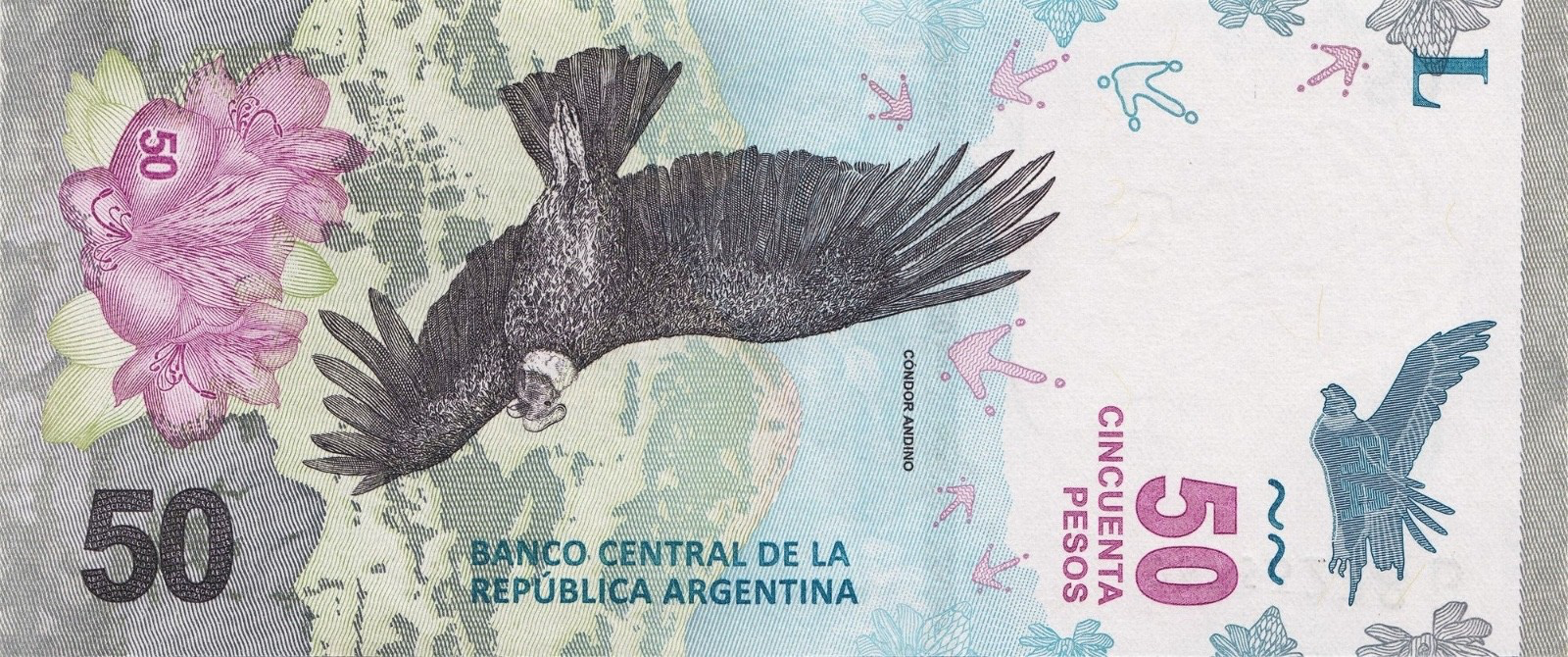 BIRD SET 2pc Argentina 1000 pesos P-363 P-366 2017-22 UNC Andes Condor Mountain1