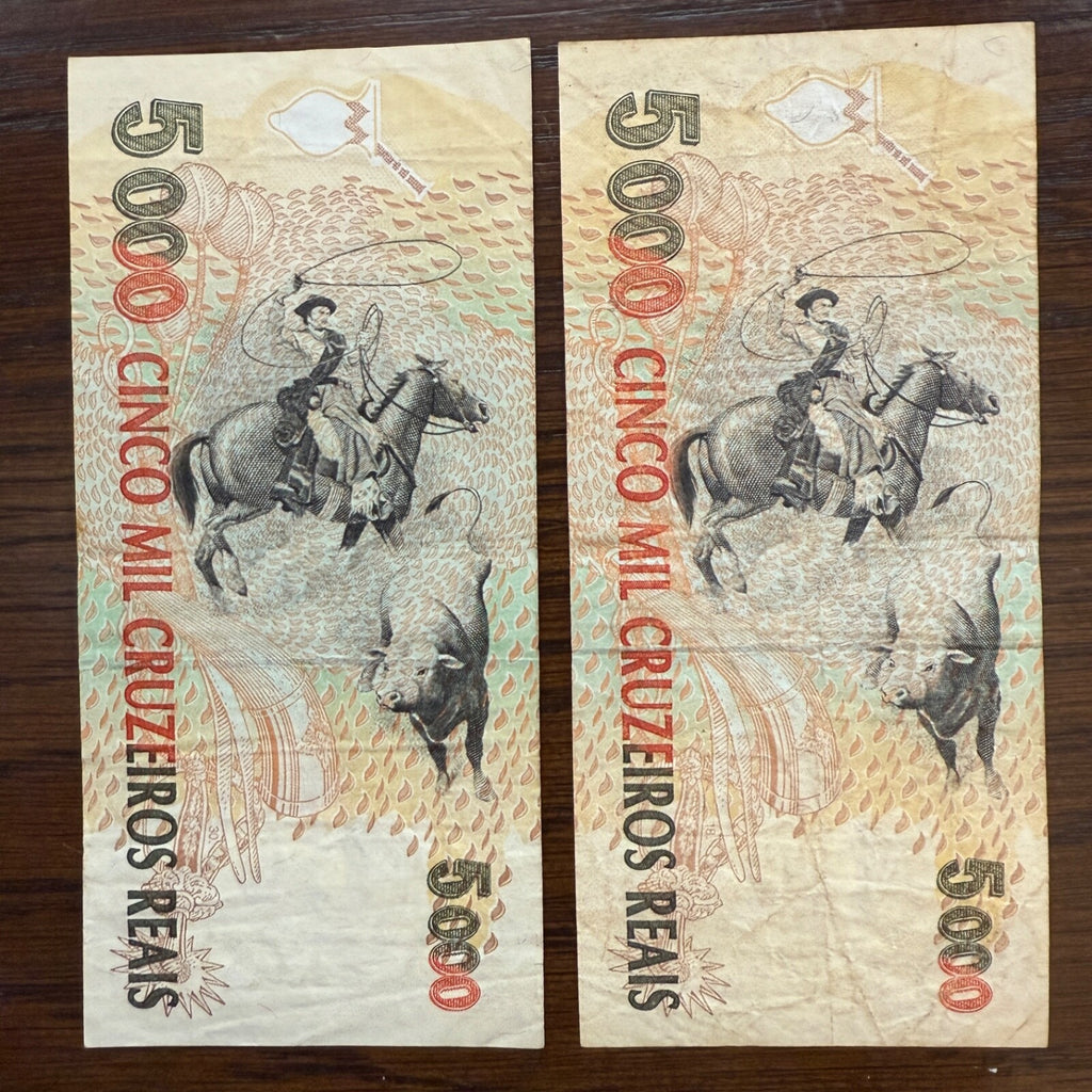 Brazil 5000 cruzeiros reais 1993 "Gaucho" P-241 VF \C239\S36rM12r\e23i:F1