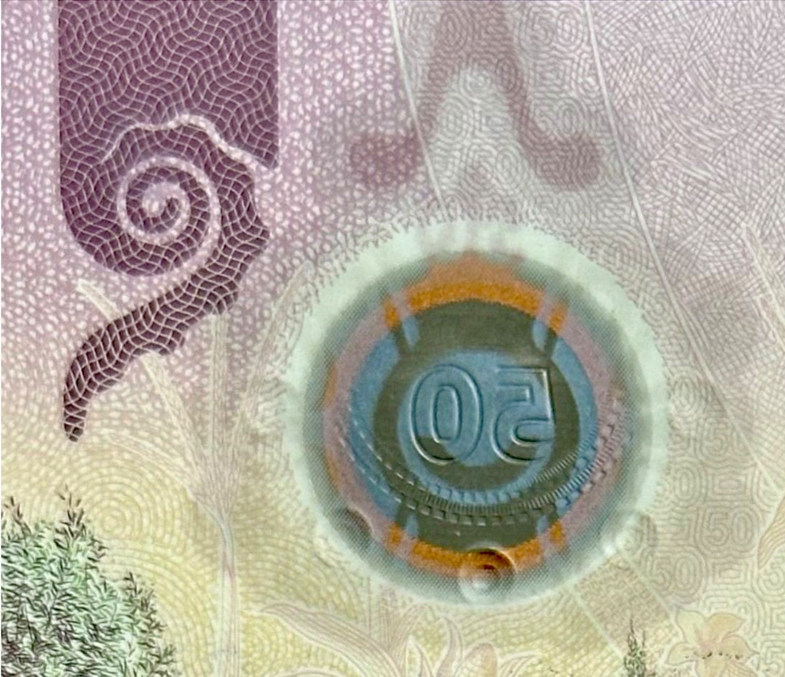 AXOLOTL AJOLOTE Mexico 50 Pesos — commemorative — UNC P133 W138 2024 “fish”14