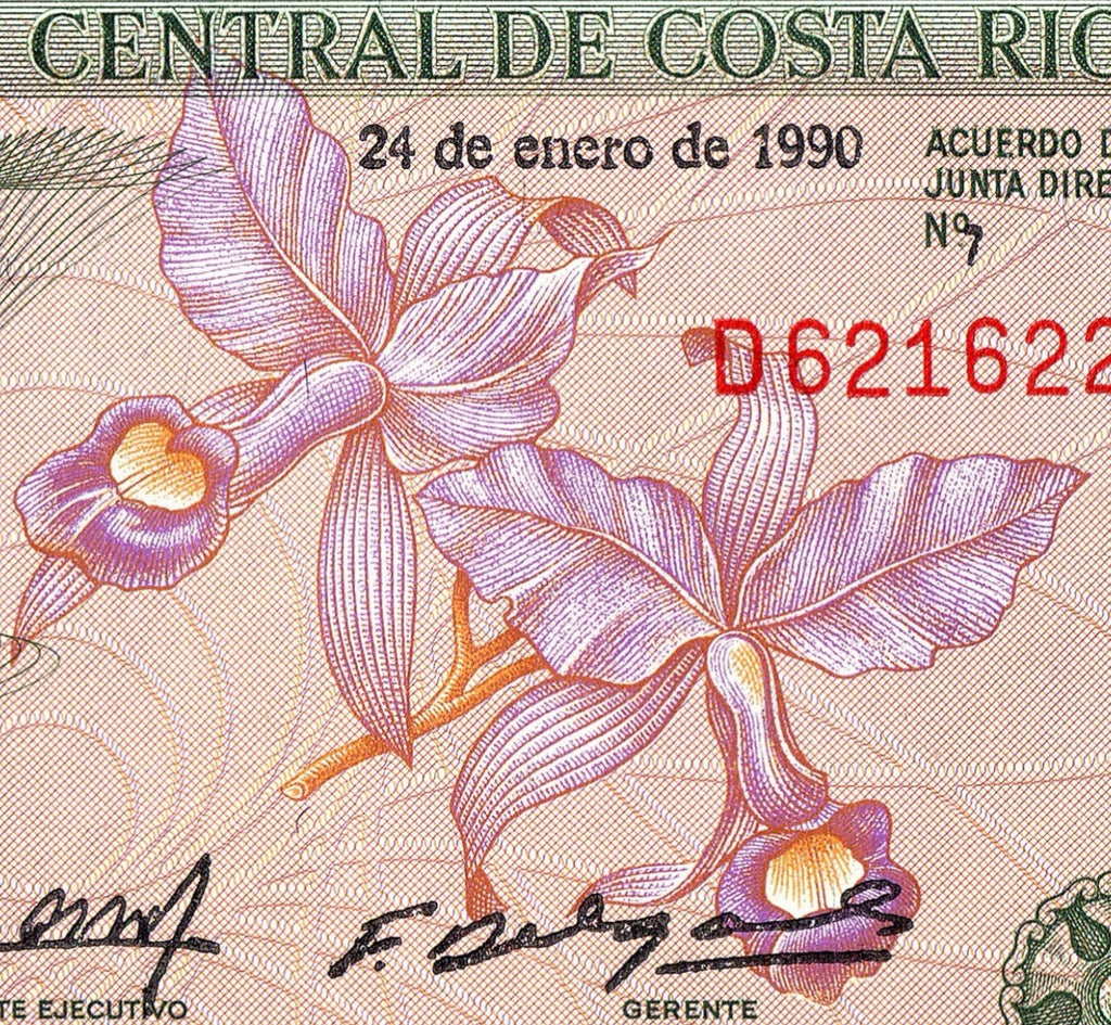 Costa Rica 5 Colones P-236 UNC Colorful4