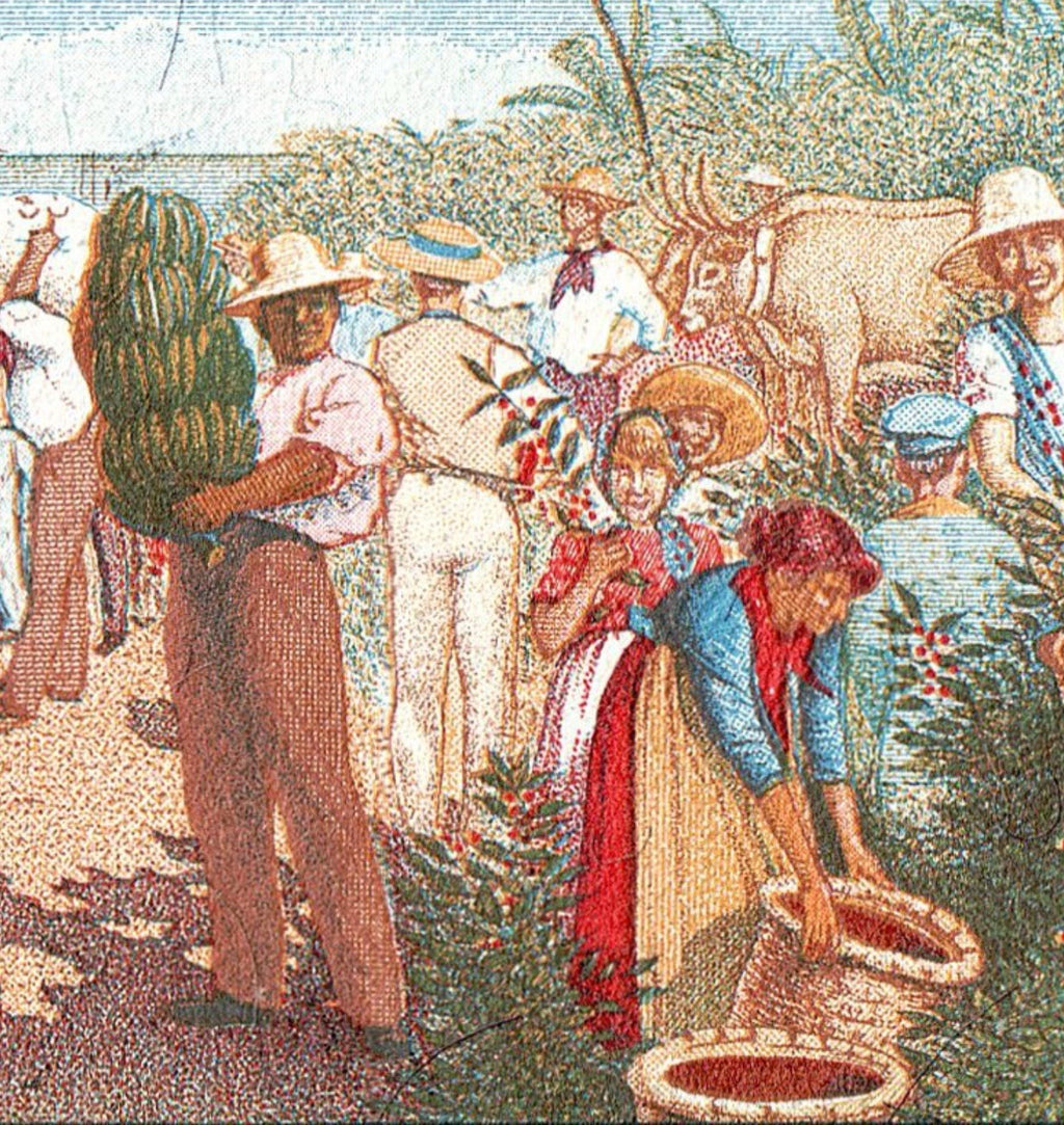 Costa Rica 5 Colones P-236 UNC Colorful0