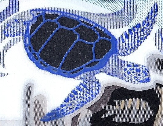 East Caribbean P-61 2 dollars 2023｜Polymer｜Cricket｜Marine Life｜Banknote of the Year